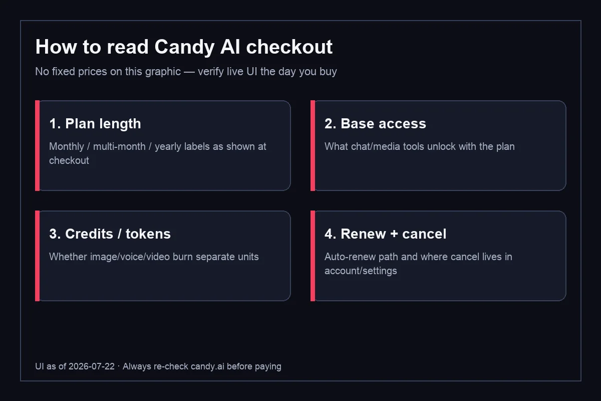 Candy AI checkout checklist covering plan length, access, tokens, renewal and cancellation